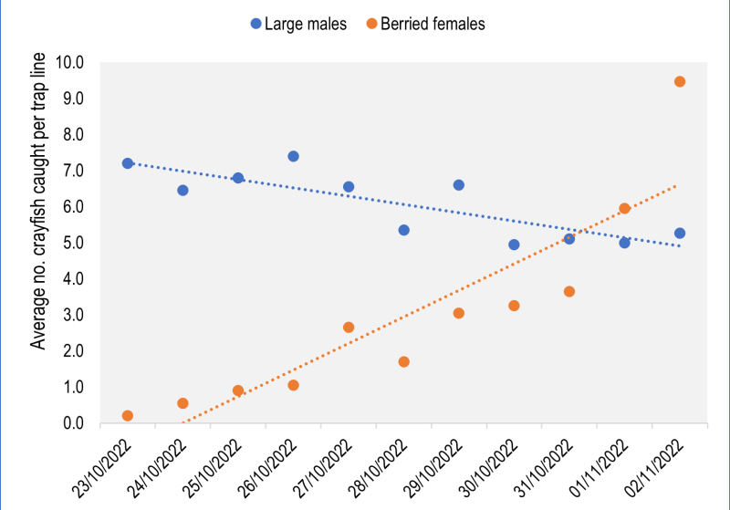 A graph showing the population caught during a crayfish trapping exercise An analysis of the population caught during the trapping exercise