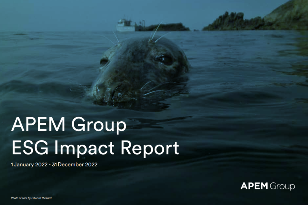 APEM Group ESG Report cover