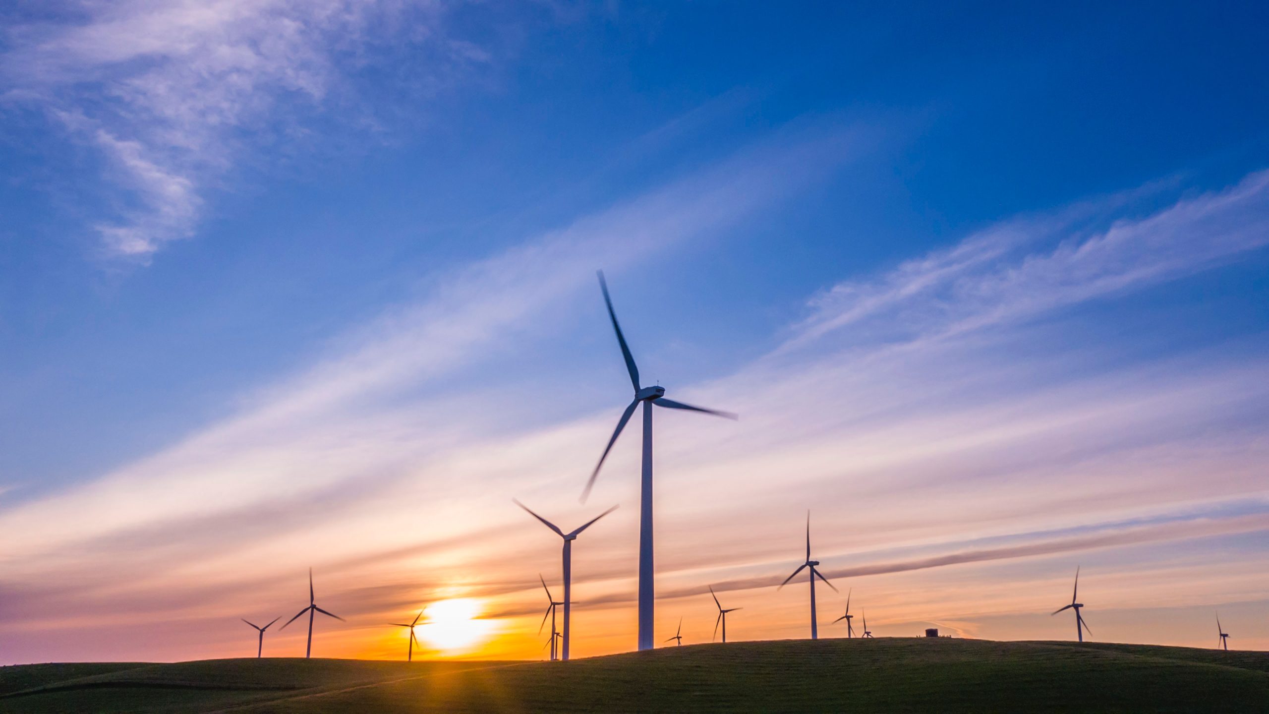 Windfarm