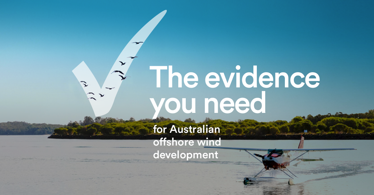 Australian offshore wind development evidence graphic with seaplane and coastal landscape.
