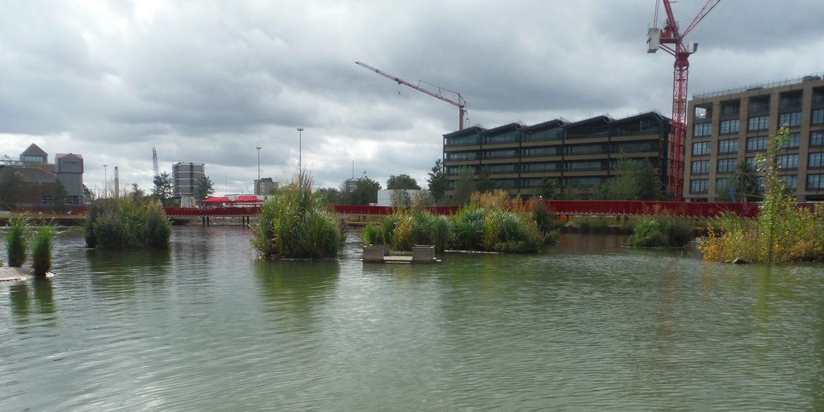 Floating bird boxes and green vegetation on the water surface illustrating ecological enhancements within the dock area scaled aspect ratio 1200 600