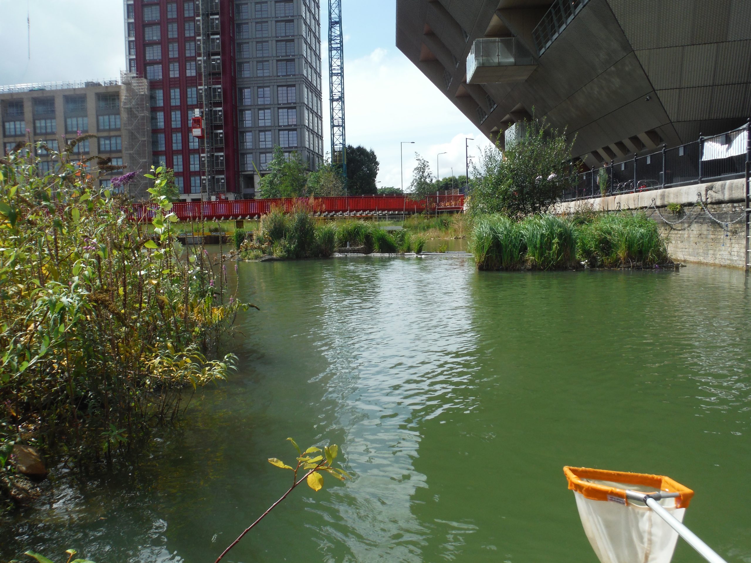 Vegetation boxes installed along the dock edge, designed to provide nesting habitats for local bird species