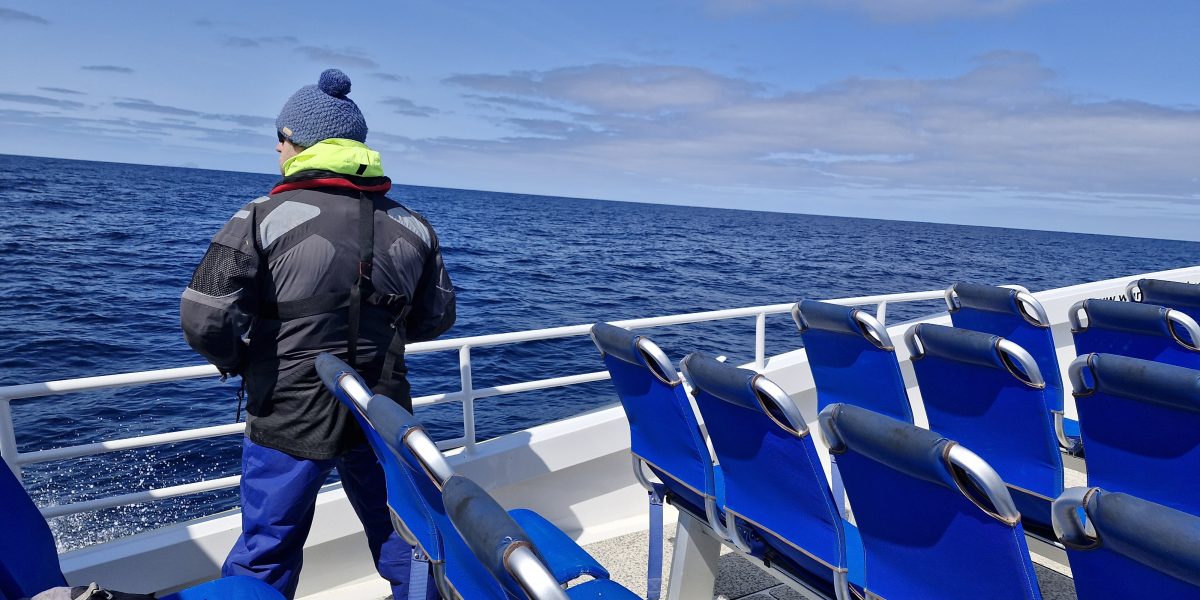 Marine mammal c J.Botha 9 scaled aspect ratio 1200 600
